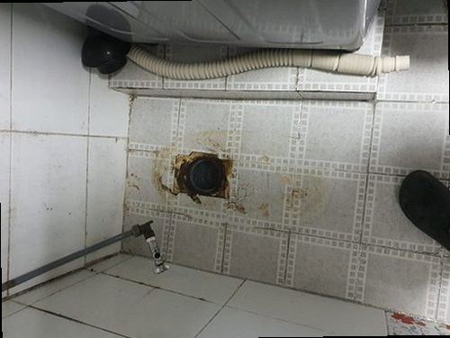영통구 영통동 하수구막힘 우수 역류 배수 문제와 관리의 기본